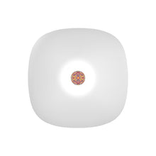 Charger l'image dans la galerie, Garden * 33S Ornament Bowl